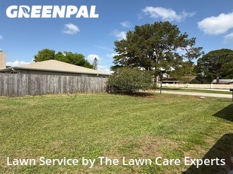 Lawn Mow nearby Winter Haven, FL, 