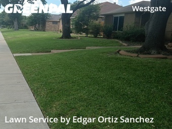 Lawn Care nearby Plano, TX, 