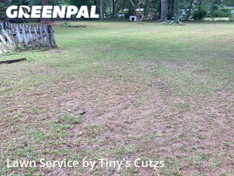Lawn Cutting nearby Valdosta, GA, 