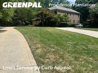 Yard Cutting nearby Charlotte, NC, 