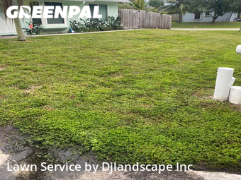 Yard Mowing nearby Boynton Beach, FL, 