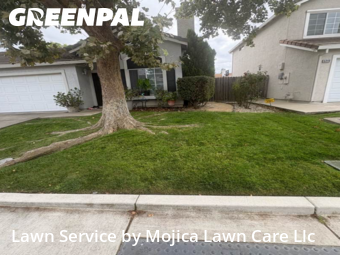 Work completed by the-yard-cutting-businesses-in-Elk Grove-CA