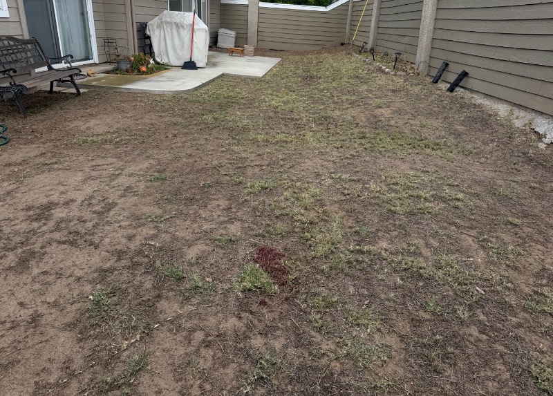 Lawn mowing work by South Cal Landscaping in Escondido, CA