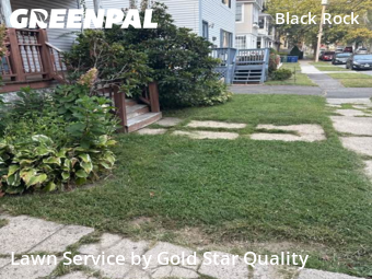 Lawn Work in Bridgeport, 6605, Yard Grooming by Gold Star Quality , work completed in Nov , 2025