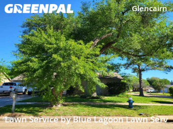 Grass Cut nearby Houston, TX, 