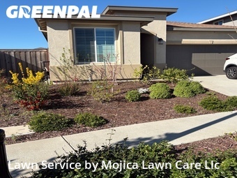 Work completed by professional-lawn-care-service-in-Roseville-CA