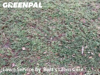 Lawn Care Service nearby Fort Lauderdale, FL, 