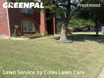 Lawn Mowing Service nearby Frisco, TX, 