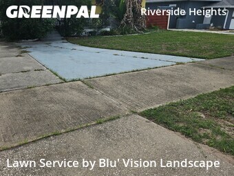 Lawn Cut nearby Tampa, FL, 