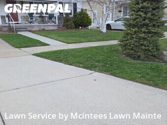 Lawn Cutting nearby Southgate, MI, 