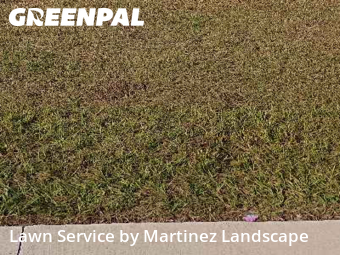 Yard Services in Leesburg, 34788, Yard Care Services by Martinez Landscape, work completed in Dec , 2025