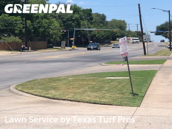 Lawn Mow nearby Arlington, TX, 