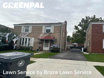 Lawn Cut nearby Lyons, IL, 