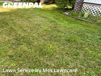 Lawn Mow nearby Pittsburgh, PA, 