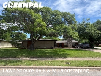 Lawn Mowing Servicein Richardson,75080,Lawn Mowing by B & M Landscaping, work completed in Jun , 2026