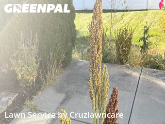 Lawn Care nearby Noblesville, IN, 