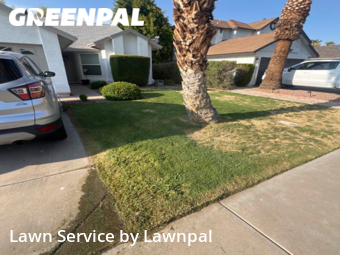 Yard Cutting nearby Chandler, AZ, 