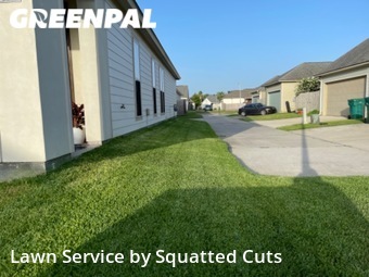 Lawn Care nearby Youngsville, LA, 