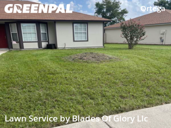 Lawn Mow nearby Jacksonville, TN, 