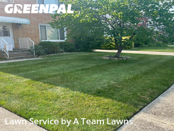 Grass Cut nearby Euclid, OH, 