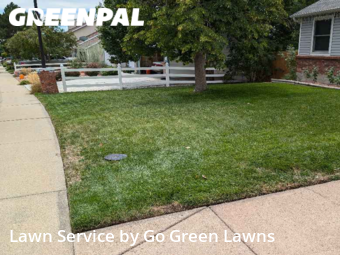 Lawn Cut nearby Thornton, CO, 