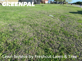 Lawn Mow nearby Seguin, TX, 