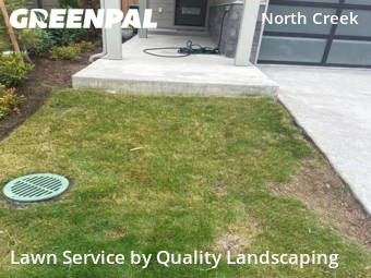 Landscaping Maintenance in Bothell, 98021, Backyard Mowing by Quality Landscaping, work completed in Nov , 2025