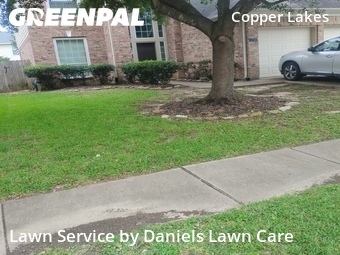 Yard Cutting nearby Katy, TX, 