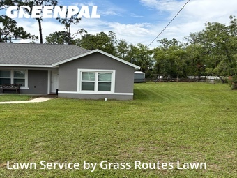 Lawn mowed in Ocala, 34472