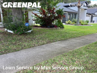 Lawn Mow nearby Tampa, FL, 