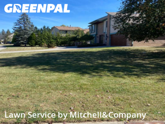 Garden Trimming in Farmington Hills, 48331, Lawn Upkeep by Mitchell&Company, work completed in Nov , 2025