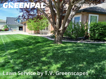 Yard Cutting nearby Boise, ID, 