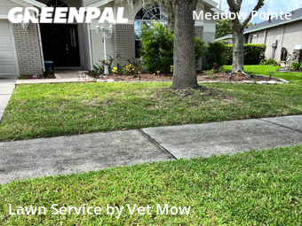 Grass Cut nearby Wesley Chapel, FL, 