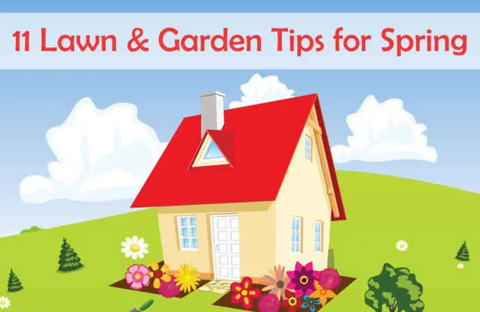 Use these 11 Lawn Care Tips to Make Your Lawn Shine!