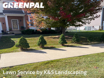 Lawn Cut nearby Joliet, IL, 