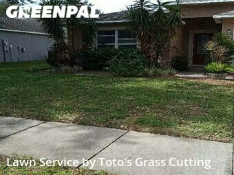 Lawn Mow nearby Apopka, FL, 