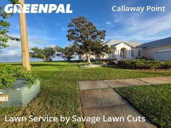 Grass Cut nearby Panama City, FL, 