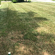lawn-care-services-in-Providence-RI