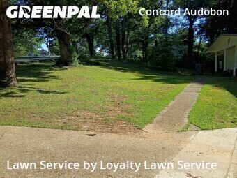Landscaping Renovation In Chattanooga,37421,Landscaping Installation by Loyalty Lawn Service, work completed in Jun , 2026