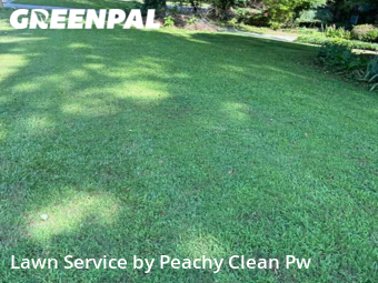 Lawn Maintenance nearby Hiram, GA, 