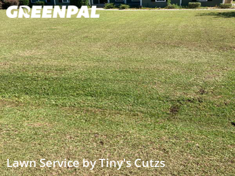 Yard Mowing nearby Sparks, GA, 