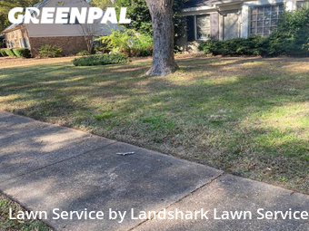 Lawn Cutting nearby Memphis, MS, 