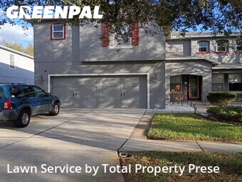 Grass Cut nearby Wesley Chapel, FL, 