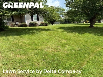 Yard Cutting nearby Bowling Green, KY, 