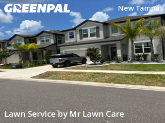 Lawn Cut nearby Tampa, FL, 
