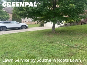 Yard Mowing nearby Mt. Juliet, TN, 