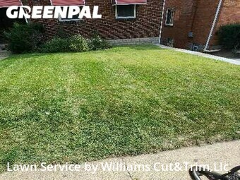 Grass Cut nearby Pittsburgh, PA, 