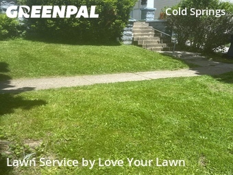 Lawn Care Service nearby Buffalo, NY, 