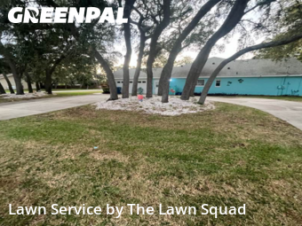 Yard Cutting nearby Spring Hill, FL, 