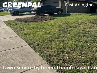 Lawn Cut nearby Arlington, TX, 